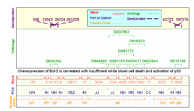 annotation example